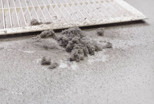 Best Commercial Air Duct Cleaning  in Sand Point, AK